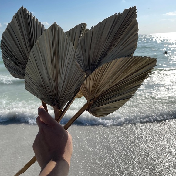 🌴 {10 Pack total }VeryLarge Organic Real Palm Leaves & Small Palm Leaves 🌴 - Picture 8 of 17